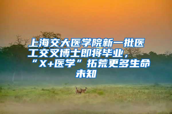 上海交大医学院新一批医工交叉博士即将毕业，“X+医学”拓荒更多生命未知