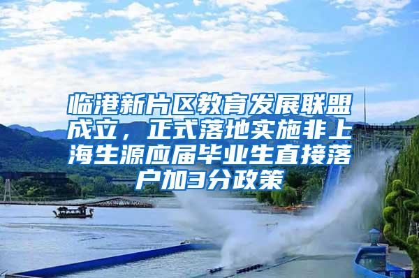 临港新片区教育发展联盟成立，正式落地实施非上海生源应届毕业生直接落户加3分政策