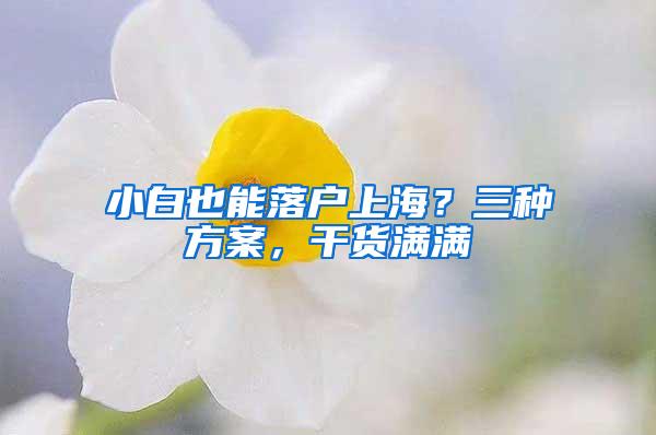 小白也能落户上海？三种方案，干货满满