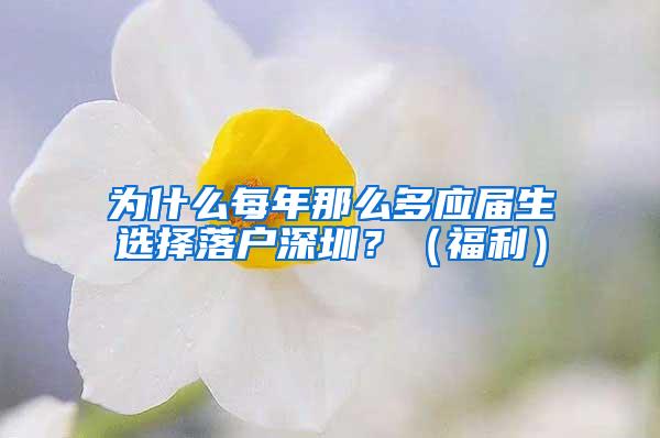 为什么每年那么多应届生选择落户深圳？（福利）