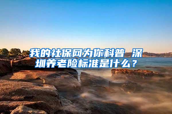 我的社保网为你科普 深圳养老险标准是什么？