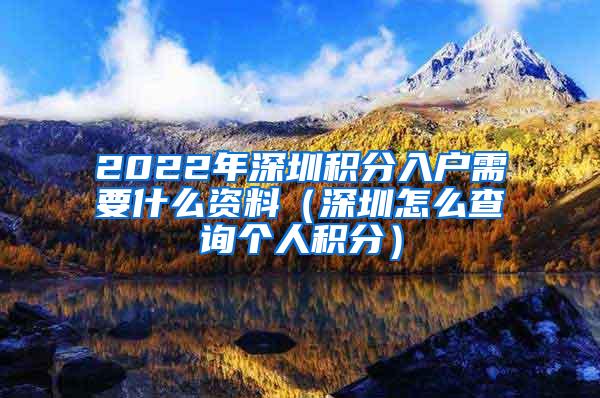 2022年深圳积分入户需要什么资料（深圳怎么查询个人积分）