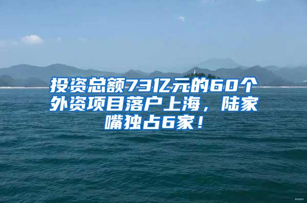 投资总额73亿元的60个外资项目落户上海，陆家嘴独占6家！