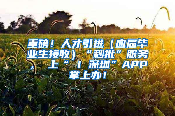 重磅！人才引进（应届毕业生接收）“秒批”服务， 上“ i 深圳”APP掌上办！