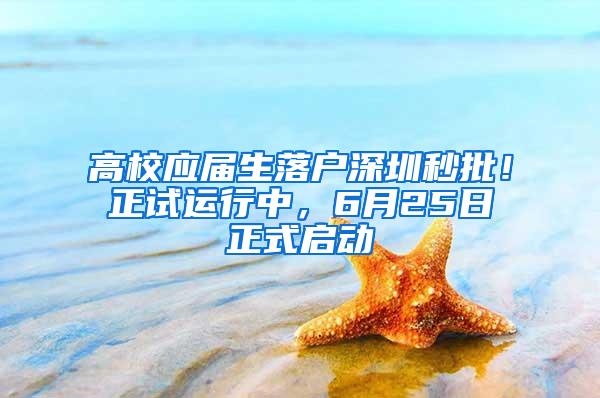 高校应届生落户深圳秒批！正试运行中，6月25日正式启动