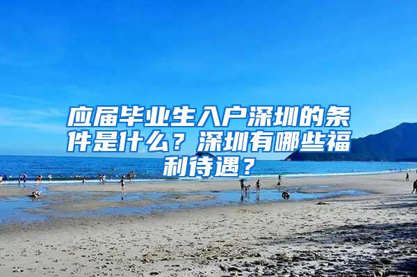 应届毕业生入户深圳的条件是什么？深圳有哪些福利待遇？