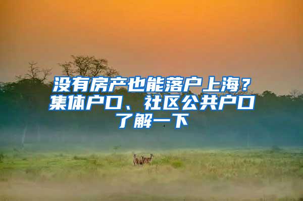 没有房产也能落户上海？集体户口、社区公共户口了解一下