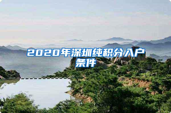 2020年深圳纯积分入户条件