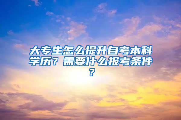 大专生怎么提升自考本科学历？需要什么报考条件？