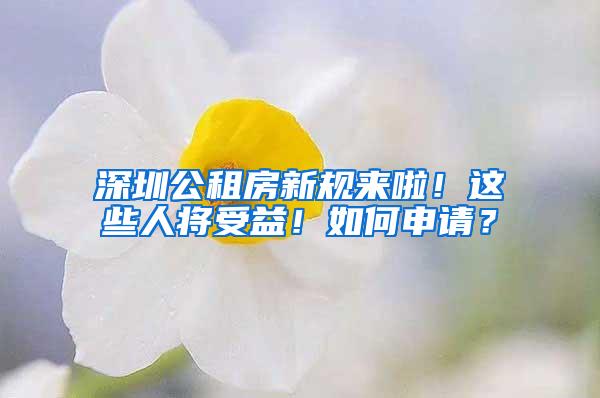 深圳公租房新规来啦！这些人将受益！如何申请？