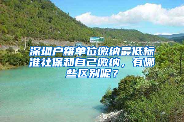 深圳户籍单位缴纳最低标准社保和自己缴纳，有哪些区别呢？