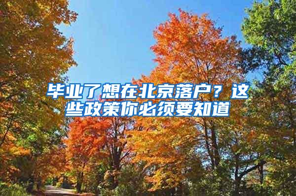 毕业了想在北京落户？这些政策你必须要知道