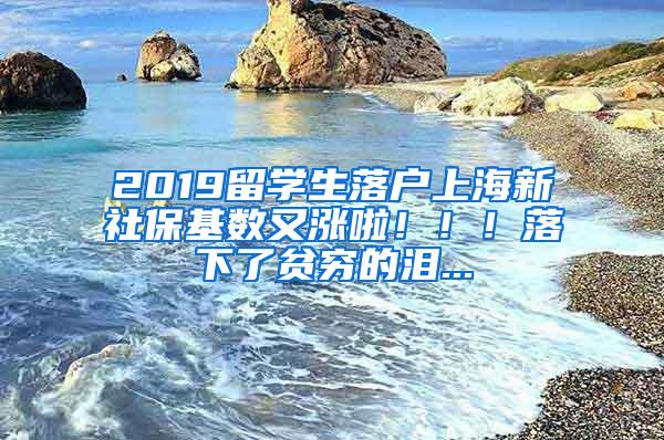 2019留学生落户上海新社保基数又涨啦！！！落下了贫穷的泪...