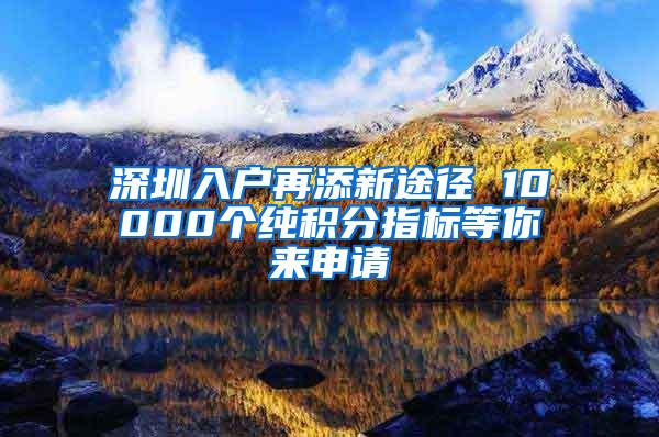 深圳入户再添新途径 10000个纯积分指标等你来申请