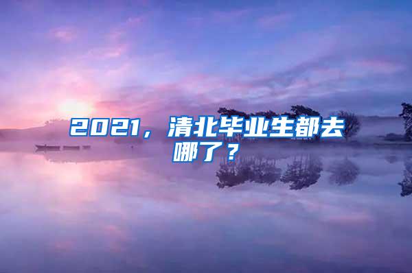 2021，清北毕业生都去哪了？