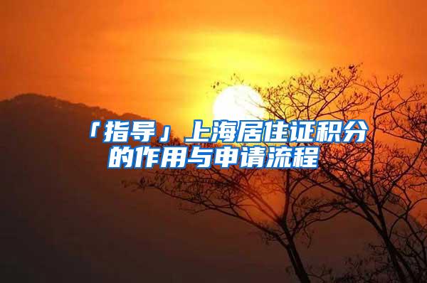 「指导」上海居住证积分的作用与申请流程