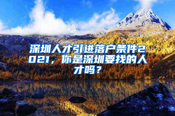 深圳人才引进落户条件2021，你是深圳要找的人才吗？
