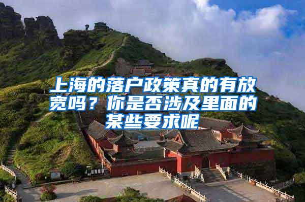 上海的落户政策真的有放宽吗？你是否涉及里面的某些要求呢
