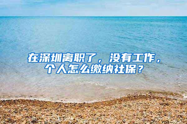 在深圳离职了，没有工作，个人怎么缴纳社保？