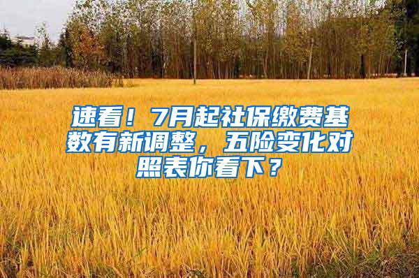 速看！7月起社保缴费基数有新调整，五险变化对照表你看下？