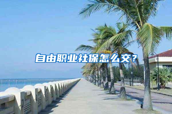 自由职业社保怎么交？