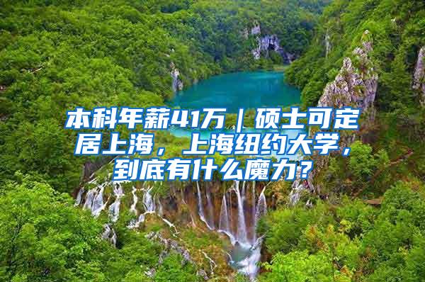 本科年薪41万｜硕士可定居上海，上海纽约大学，到底有什么魔力？
