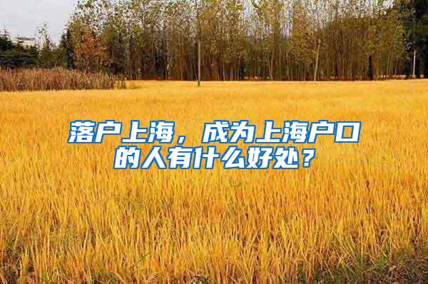 落户上海，成为上海户口的人有什么好处？