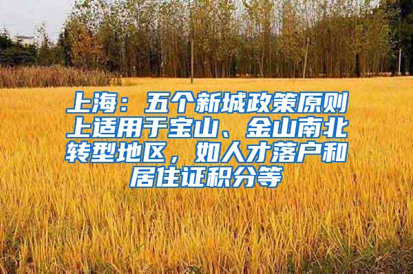 上海：五个新城政策原则上适用于宝山、金山南北转型地区，如人才落户和居住证积分等