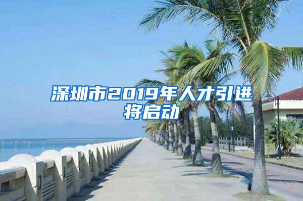 深圳市2019年人才引进将启动