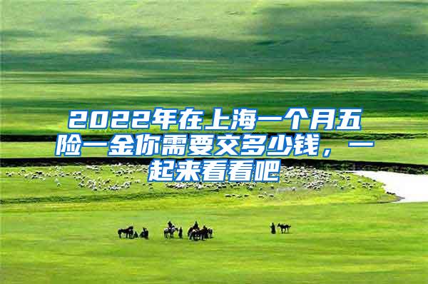 2022年在上海一个月五险一金你需要交多少钱，一起来看看吧