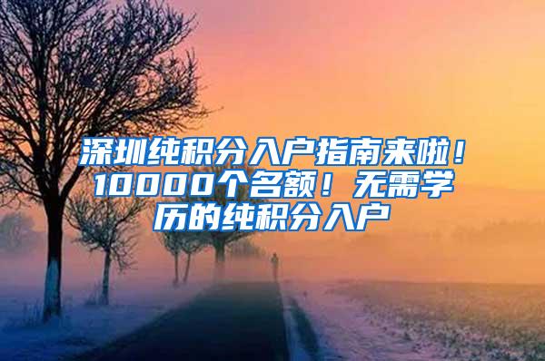 深圳纯积分入户指南来啦！10000个名额！无需学历的纯积分入户