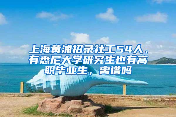 上海黄浦招录社工54人，有悉尼大学研究生也有高职毕业生，离谱吗