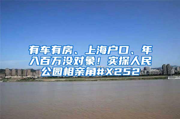 有车有房、上海户口、年入百万没对象！实探人民公园相亲角#X252