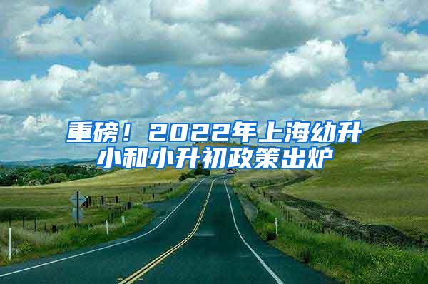 重磅！2022年上海幼升小和小升初政策出炉