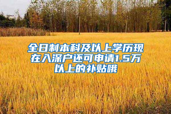 全日制本科及以上学历现在入深户还可申请1.5万以上的补贴哦