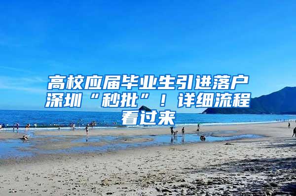 高校应届毕业生引进落户深圳“秒批”！详细流程看过来