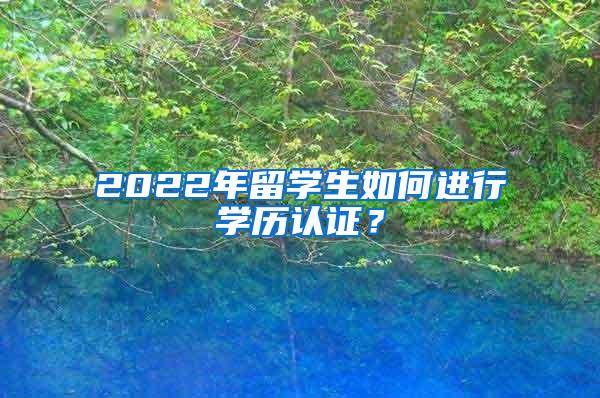 2022年留学生如何进行学历认证？