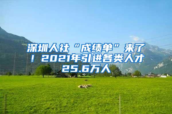 深圳人社“成绩单”来了！2021年引进各类人才25.6万人