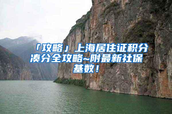 「攻略」上海居住证积分凑分全攻略~附最新社保基数！