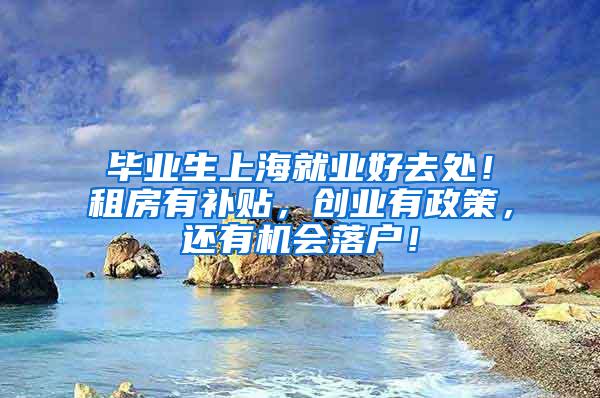 毕业生上海就业好去处！租房有补贴，创业有政策，还有机会落户！