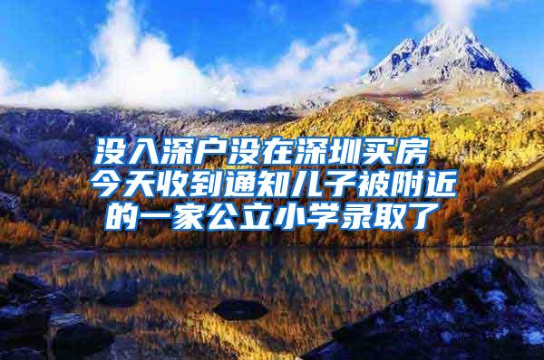 没入深户没在深圳买房 今天收到通知儿子被附近的一家公立小学录取了