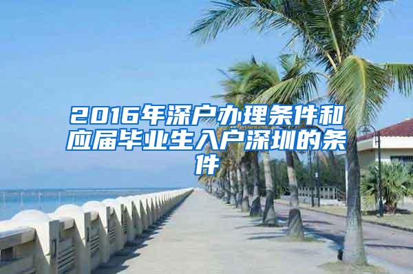 2016年深户办理条件和应届毕业生入户深圳的条件