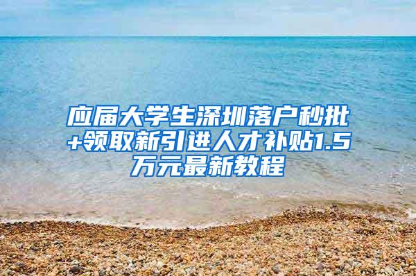 应届大学生深圳落户秒批+领取新引进人才补贴1.5万元最新教程