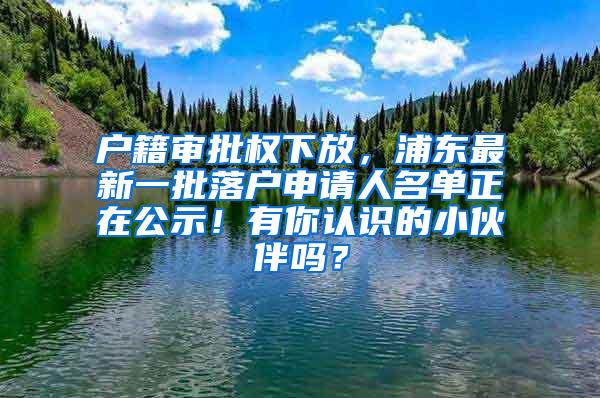 户籍审批权下放，浦东最新一批落户申请人名单正在公示！有你认识的小伙伴吗？