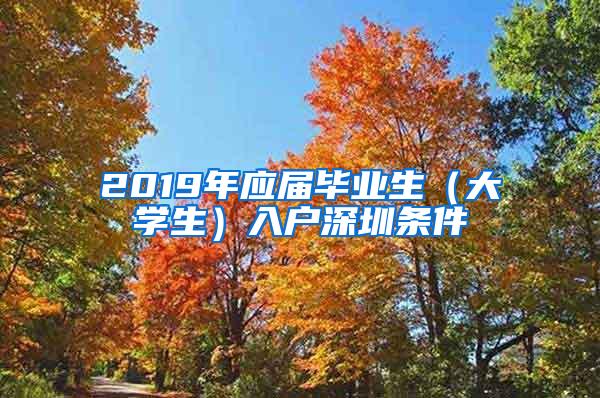 2019年应届毕业生（大学生）入户深圳条件