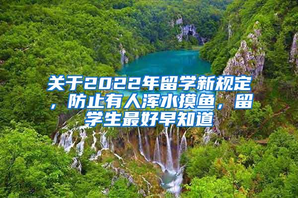 关于2022年留学新规定，防止有人浑水摸鱼，留学生最好早知道