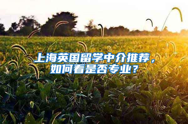 上海英国留学中介推荐，如何看是否专业？