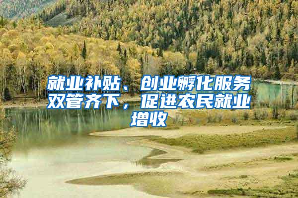 就业补贴、创业孵化服务双管齐下，促进农民就业增收