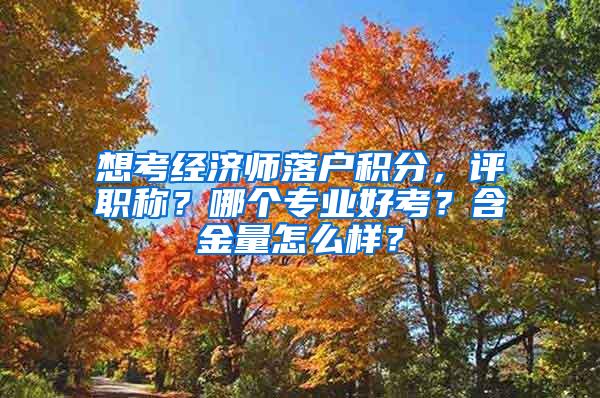 想考经济师落户积分，评职称？哪个专业好考？含金量怎么样？