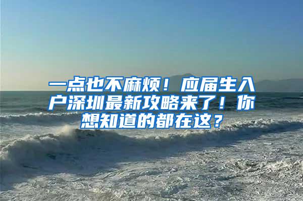 一点也不麻烦！应届生入户深圳最新攻略来了！你想知道的都在这？